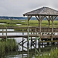 Pawleys Creek Dock