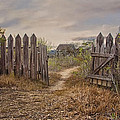 Down a Garden Path