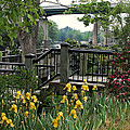 Riverwalk in Spring