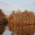 Winter Reflections